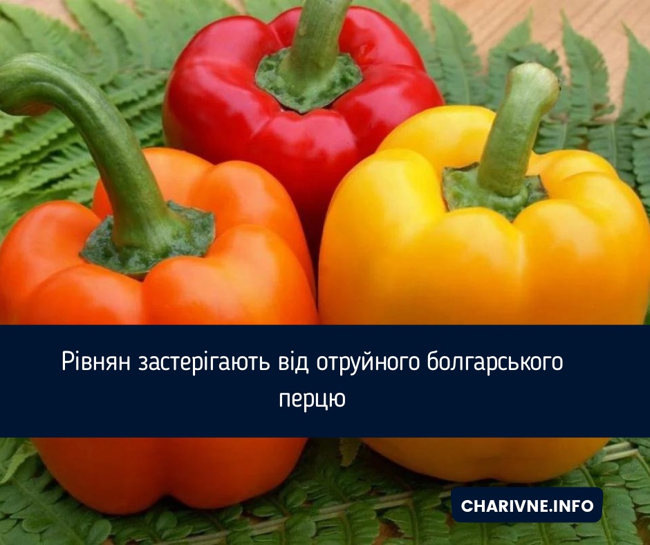 Фото ілюстративне